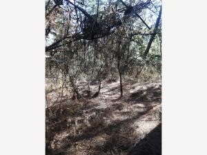 Terreno en venta en Tzintzuntzita, Tzintzuntzán — foto 3 de 13
