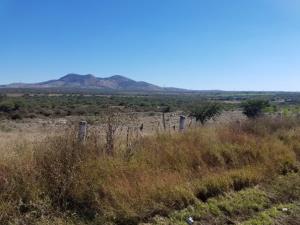 Terreno en venta en El Jaralillo, Encarnación de Díaz — foto 2 de 12