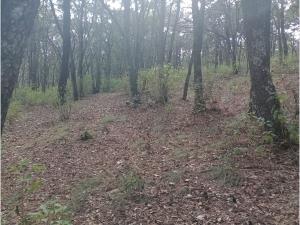 Terreno en venta en Loma de Trojes, Villa del Carbón, México