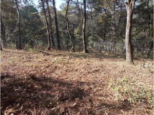 Terreno en venta en San Martin Cachihuapan, Villa del Carbón, México