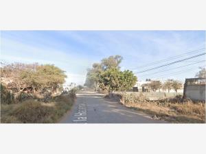 Casa en venta en Tonala Centro, Tonalá — foto 3 de 4