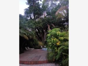 Departamento en renta en Cuernavaca Centro, Cuernavaca — foto 2 de 47