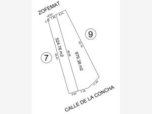 Terreno en venta en Playas del Conchal, Alvarado — foto 2 de 4