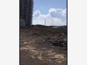 Terreno en venta en Playas del Conchal, Alvarado — foto 3 de 4