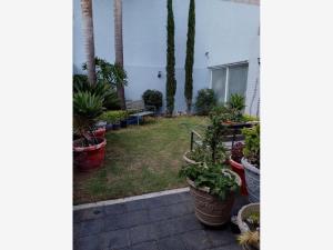 Casa en venta en El Monasterio, Morelia — foto 2 de 15