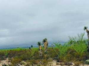 Finca-Rancho en venta en Cosme, Ramos Arizpe — foto 2 de 33