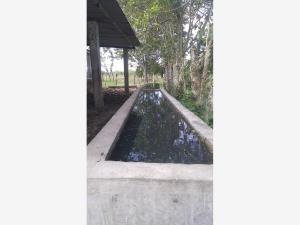 Finca-Rancho en venta en Reforma Centro, Reforma — foto 2 de 22