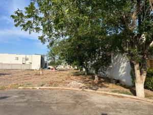 Terreno en venta en Las Trojes, Torreón — foto 2 de 3