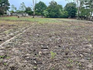 Terreno en venta en Plátano y Cacao 1ra Sección, Centro, Tabasco Terreno en venta en Plátano y Cacao 1ra Sección, Centro, Tabasco