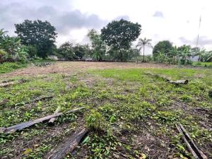 Terreno en venta en Plátano y Cacao 1ra Sección, Centro — foto 3 de 8