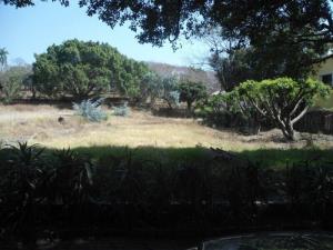 Terreno en venta en La Pradera, Cuernavaca — foto 2 de 10