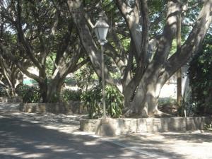 Terreno en venta en La Pradera, Cuernavaca — foto 3 de 10