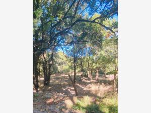 Terreno en venta en San Esteban (San Miguel Tateposco), Zapopan — foto 2 de 9