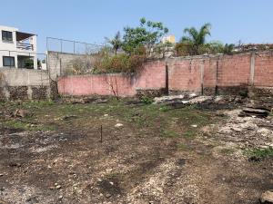 Terreno en venta en Jardines de Tlayacapan, Tlayacapan — foto 3 de 6