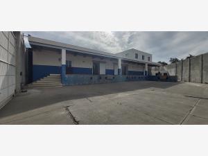 Bodega en renta en El Venadillo, Mazatlán — foto 2 de 19
