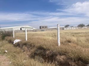 Terreno en venta en Macario J Gómez, San Francisco de los Romo — foto 3 de 24