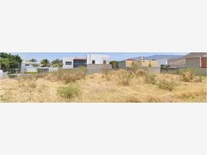 Casa en Campo Sur, Tlajomulco de Zúñiga, Jalisco