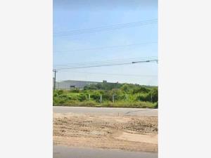 Terreno en venta en Plátano y Cacao 2da. Sección (La Isla), Centro — foto 3 de 5