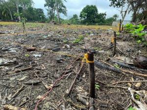 Terreno en venta en Plátano y Cacao 1ra Sección, Centro — foto 2 de 9
