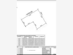 Terreno en venta en Plátano y Cacao 1ra Sección, Centro — foto 3 de 9