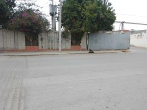 Bodega en renta en Ciudad Industrial, Torreón — foto 3 de 6