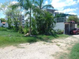 Terreno en venta en Los Ríos, Centro — foto 3 de 6