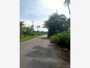 Terreno en venta en La Unión 1ra. Sección (Amatillo), Paraíso — foto 3 de 4