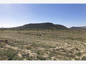 Terreno en venta en La Rosa, General Cepeda — foto 3 de 10