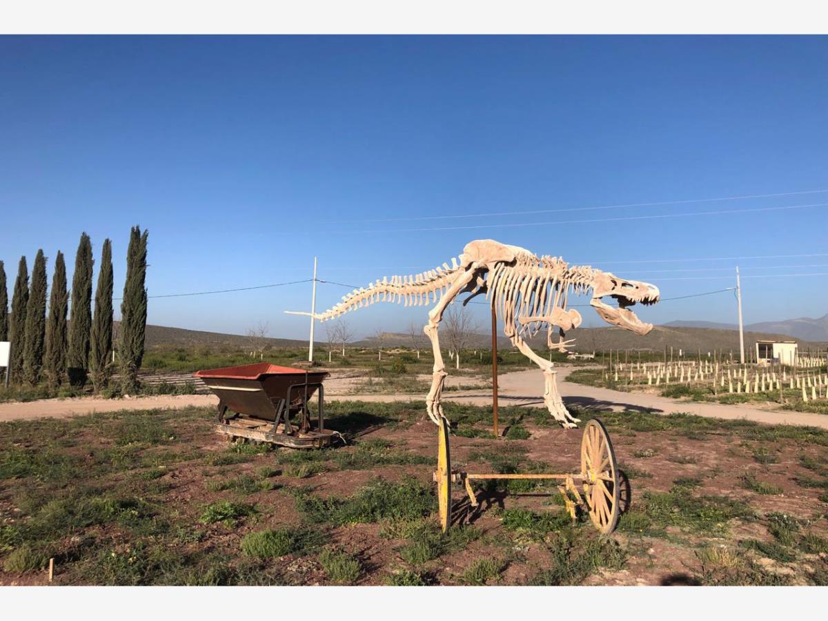 Terreno en venta en La Rosa, General Cepeda — foto 1 de 10