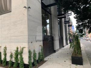 Casa en venta en Condesa, Cuauhtémoc — foto 3 de 20