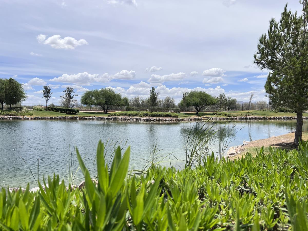 Terreno en Venta en Altozano la Nueva Laguna, Gómez Palacio, Durango