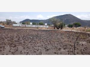 Terreno en venta en El Venadito, Ayala — foto 2 de 9