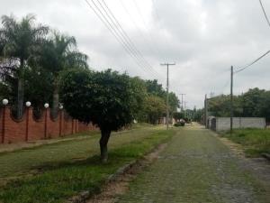 Terreno en venta en El Venadito, Ayala — foto 3 de 9