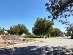 Terreno en venta en Real del Nogalar, Torreón — foto 3 de 5