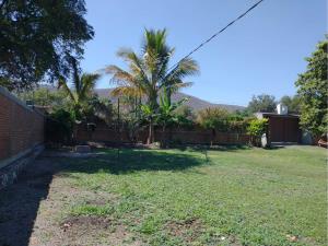 Terreno en venta en Bonifacio García (Colonia Alejandra), Tlaltizapán de Zapata — foto 2 de 7
