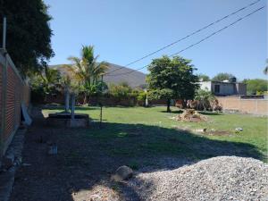 Terreno en venta en Bonifacio García (Colonia Alejandra), Tlaltizapán de Zapata — foto 3 de 7