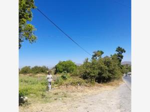 Terreno en venta en Huatecalco, Tlaltizapán de Zapata, Morelos