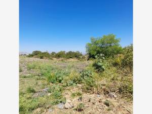 Terreno en venta en Huatecalco, Tlaltizapán de Zapata — foto 2 de 4