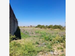 Terreno en venta en Huatecalco, Tlaltizapán de Zapata — foto 3 de 4
