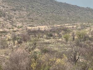 Terreno en venta en Cañada Ancha, Ramos Arizpe — foto 3 de 4