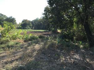 Terreno en venta en Tetecala, Tetecala — foto 3 de 33