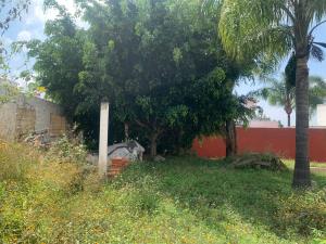 Terreno en venta en Ixtapan de la Sal, Ixtapan de la Sal — foto 2 de 4