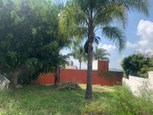 Terreno en venta en Ixtapan de la Sal, Ixtapan de la Sal — foto 3 de 4