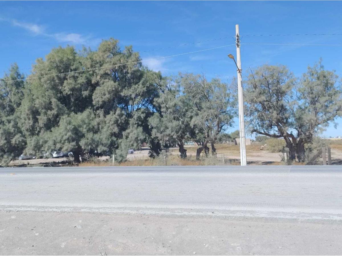 Terreno en Venta en Pastor Rouaix, Gómez Palacio, Durango