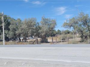 Terreno en venta en Pastor Rouaix, Gómez Palacio — foto 2 de 5