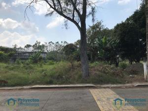 Terreno en venta en San Andres Tuxtla Centro, San Andrés Tuxtla — foto 2 de 8