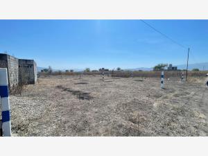 Terreno en venta en Tlatenchi, Jojutla — foto 2 de 3
