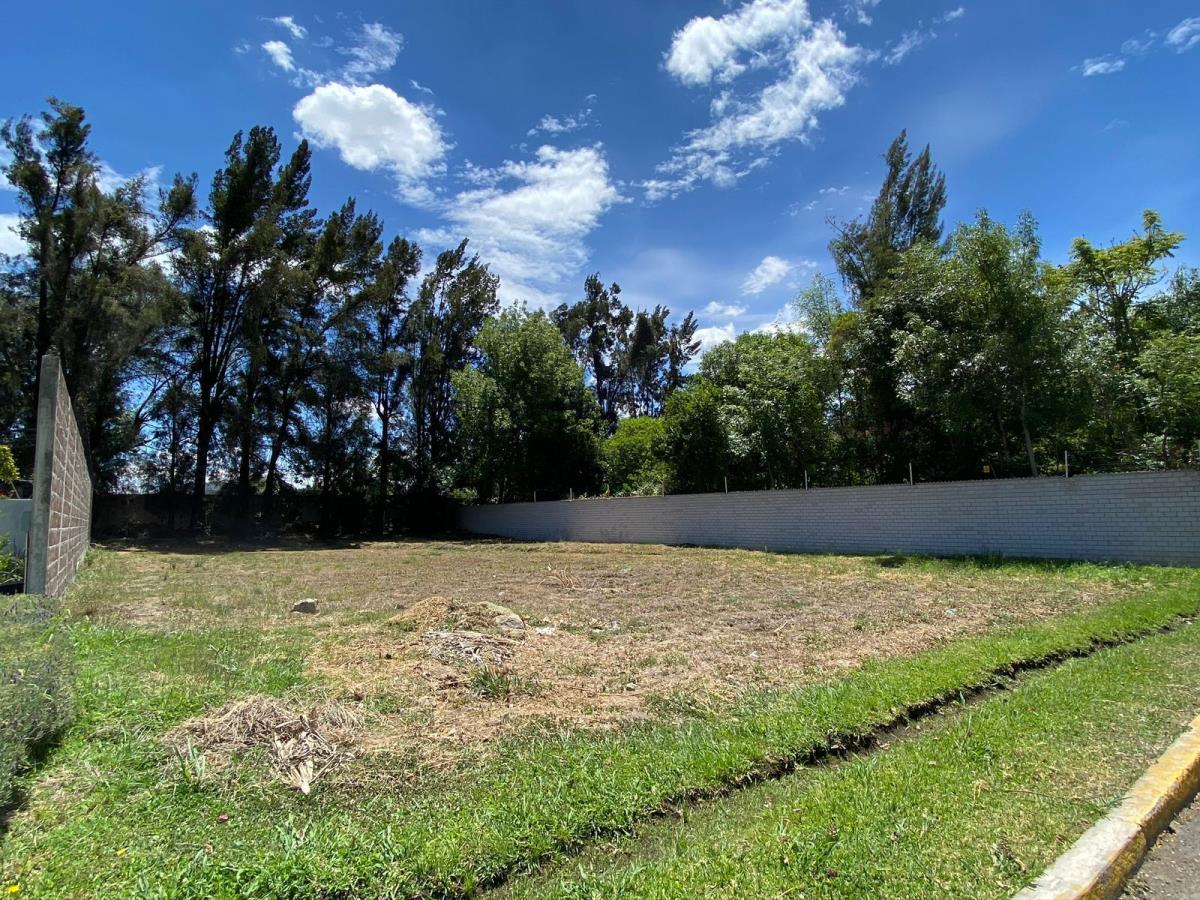 Terreno en venta en Atlixco Centro, Atlixco — foto 1 de 4