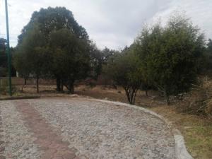 Terreno en venta en Campestre Haras, Amozoc — foto 3 de 26