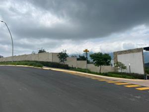 Casa en venta en Sierra Alta, Monterrey — foto 3 de 17